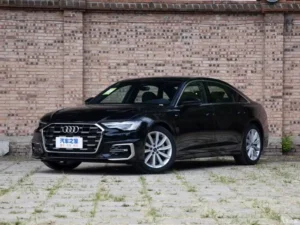 faw_audi